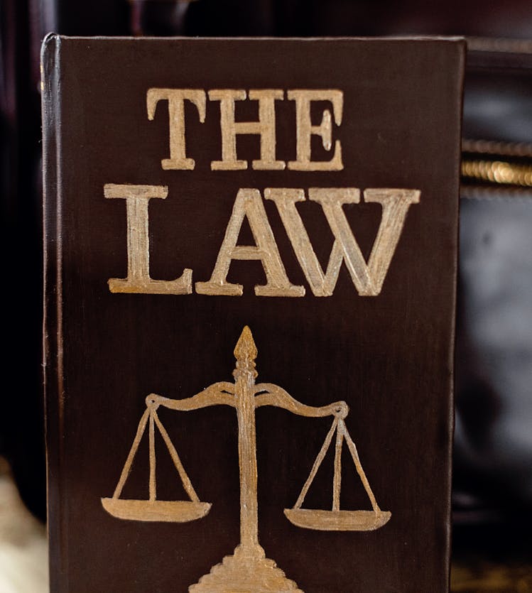 pexels-photo-8731039